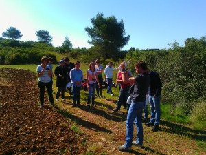 Projet AgroTIC