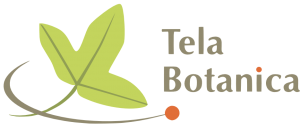 logo_telabotanica