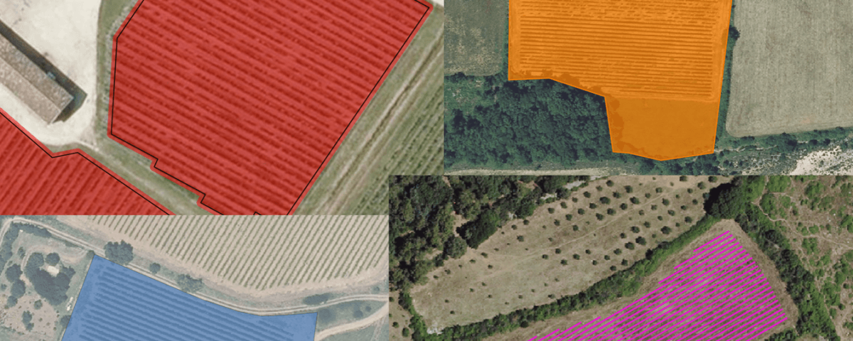 Parcellaire numerique viticulture AgroTIC.png