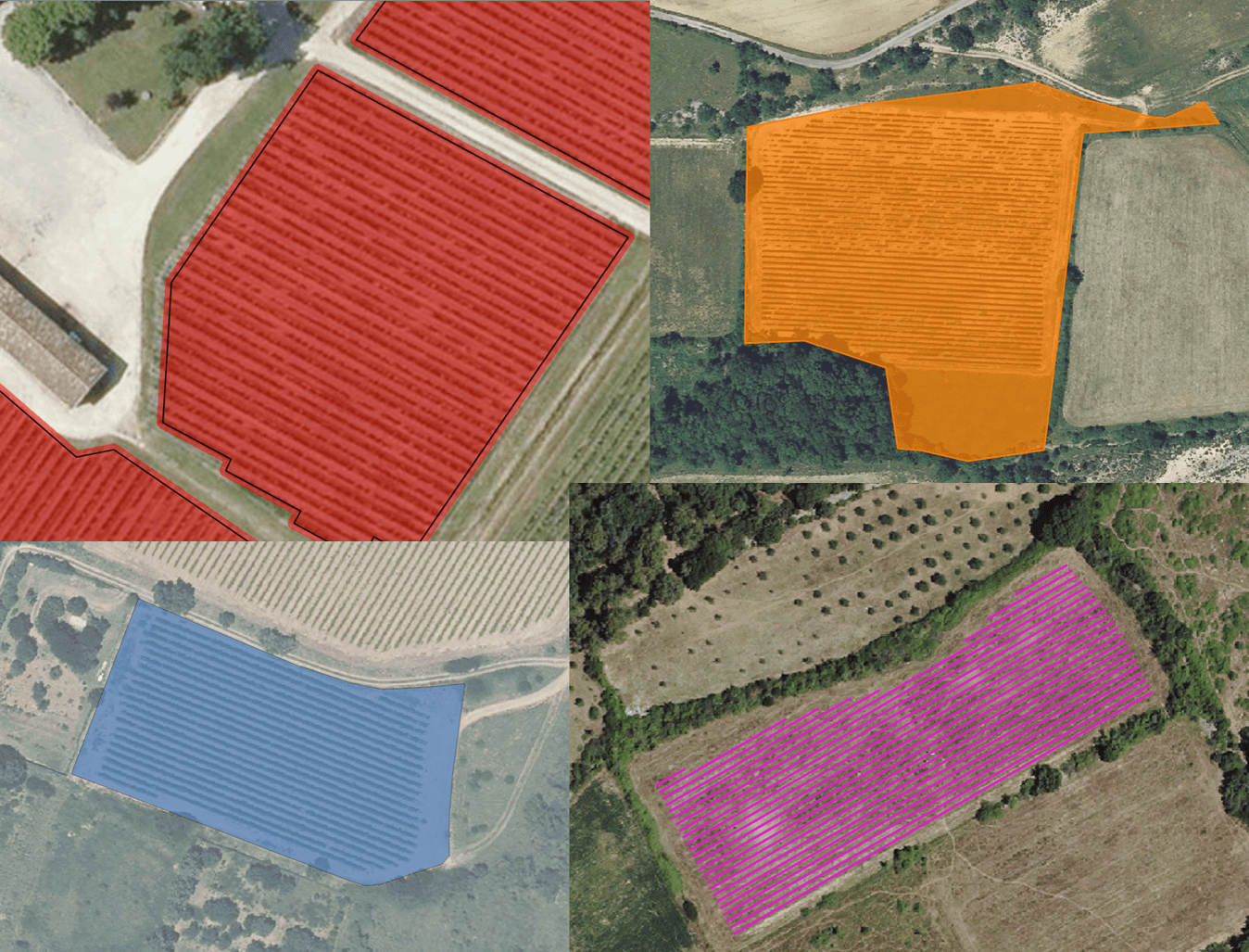 Parcellaire numerique viticulture AgroTIC.png