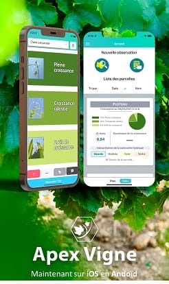 ApeX-Vigne iOS petit