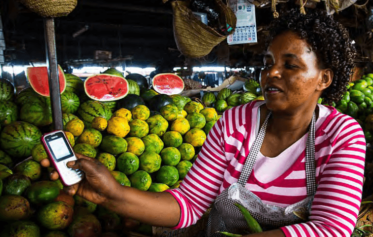 numérique agriculture afrique